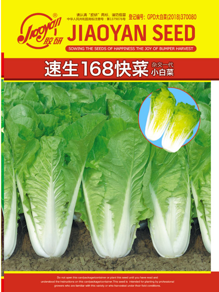 速生168快菜小白菜——速生小白菜